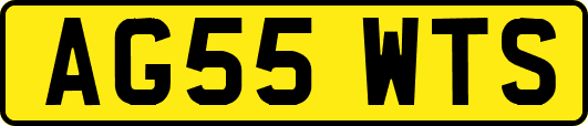 AG55WTS