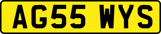 AG55WYS