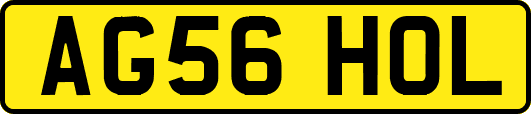 AG56HOL