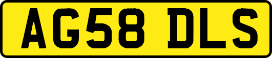AG58DLS