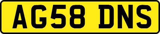 AG58DNS