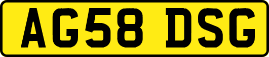 AG58DSG