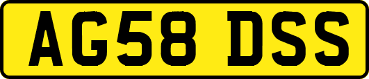 AG58DSS