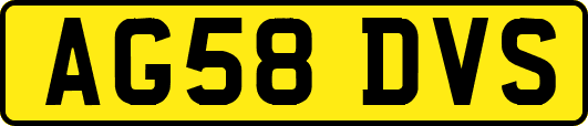 AG58DVS