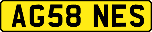 AG58NES