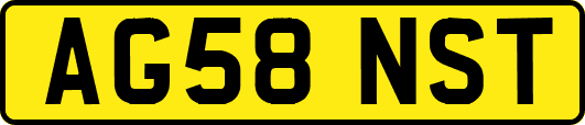 AG58NST