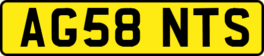 AG58NTS
