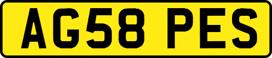 AG58PES
