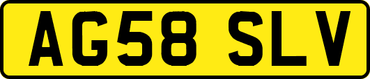 AG58SLV