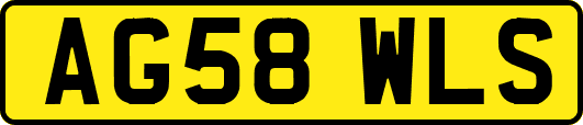 AG58WLS