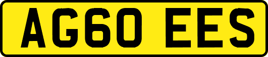 AG60EES