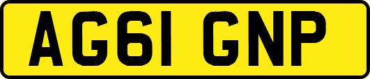 AG61GNP