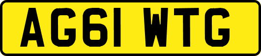 AG61WTG