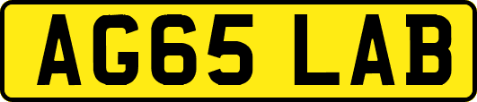 AG65LAB