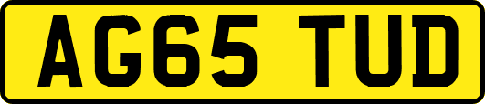 AG65TUD