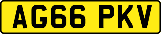 AG66PKV