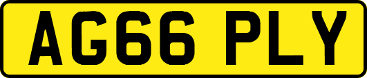 AG66PLY