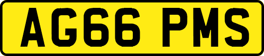 AG66PMS