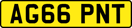 AG66PNT