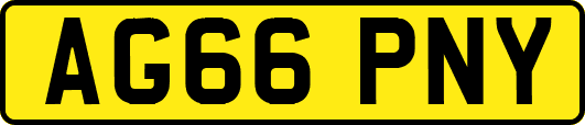 AG66PNY