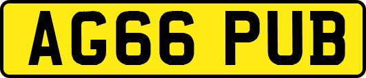 AG66PUB