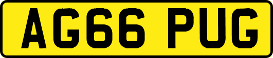 AG66PUG