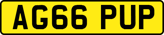 AG66PUP