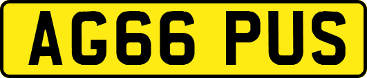 AG66PUS