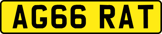 AG66RAT