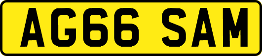 AG66SAM