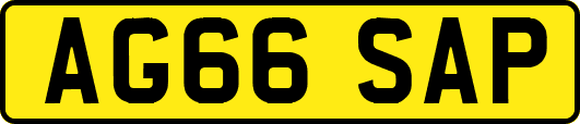 AG66SAP