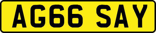 AG66SAY