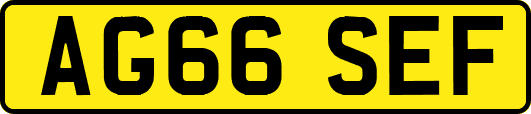 AG66SEF