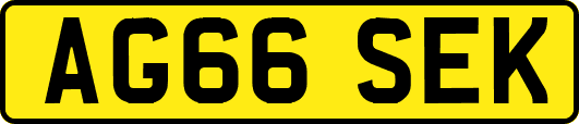 AG66SEK
