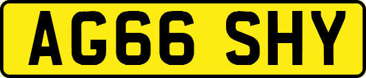 AG66SHY