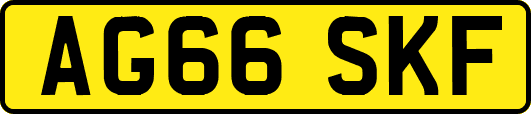 AG66SKF