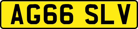 AG66SLV