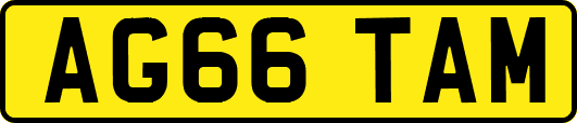 AG66TAM