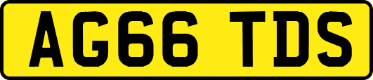 AG66TDS