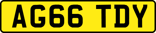 AG66TDY