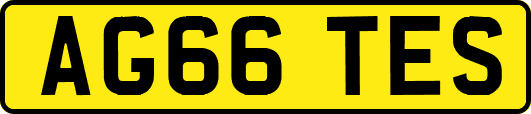 AG66TES