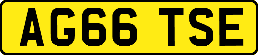 AG66TSE