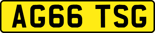 AG66TSG