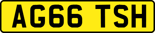 AG66TSH