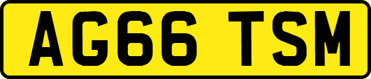 AG66TSM