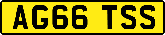 AG66TSS