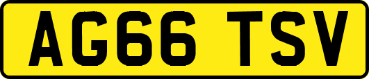 AG66TSV
