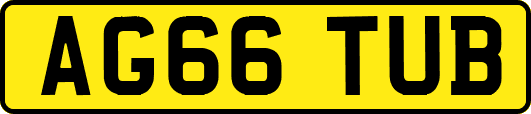 AG66TUB