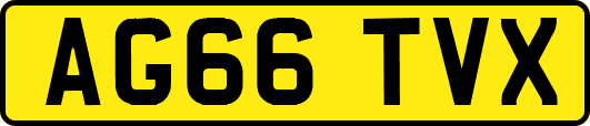 AG66TVX