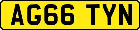 AG66TYN